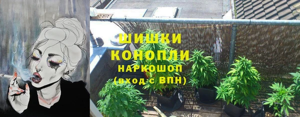 индика Аксай